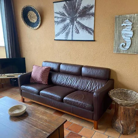 Plein Ciel Vue Bassin * 阿卡雄