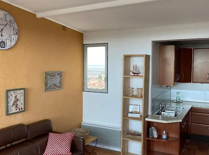 Plein Ciel Vue Bassin * 阿卡雄