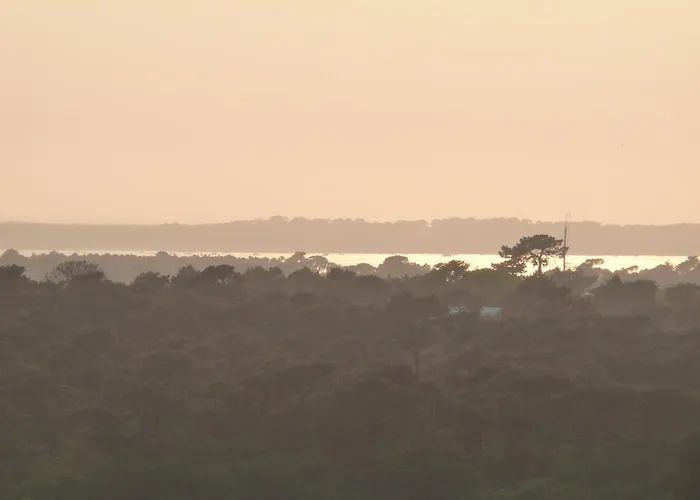 公寓 Plein Ciel Vue Bassin *